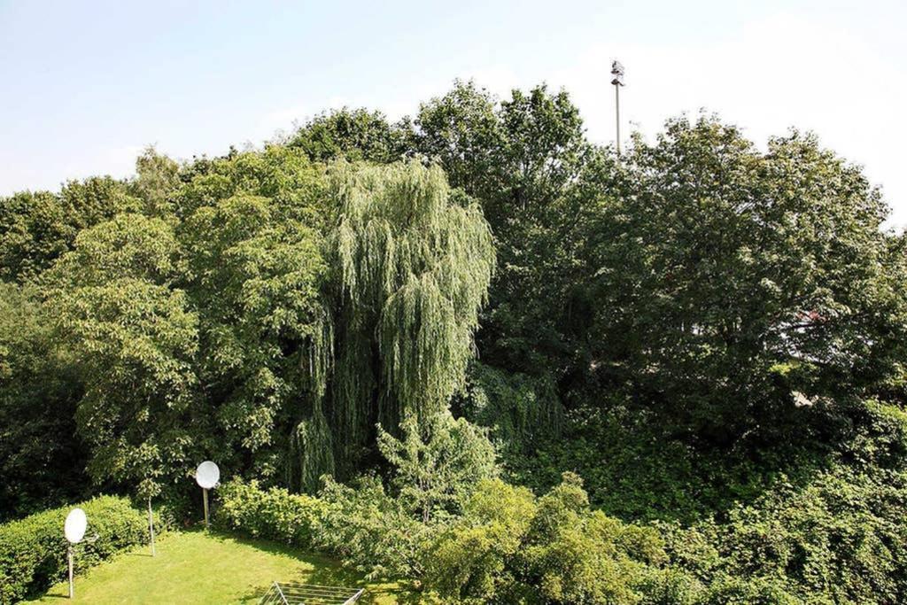 City Apartments Cologne - Apartment 2 Экстерьер фото